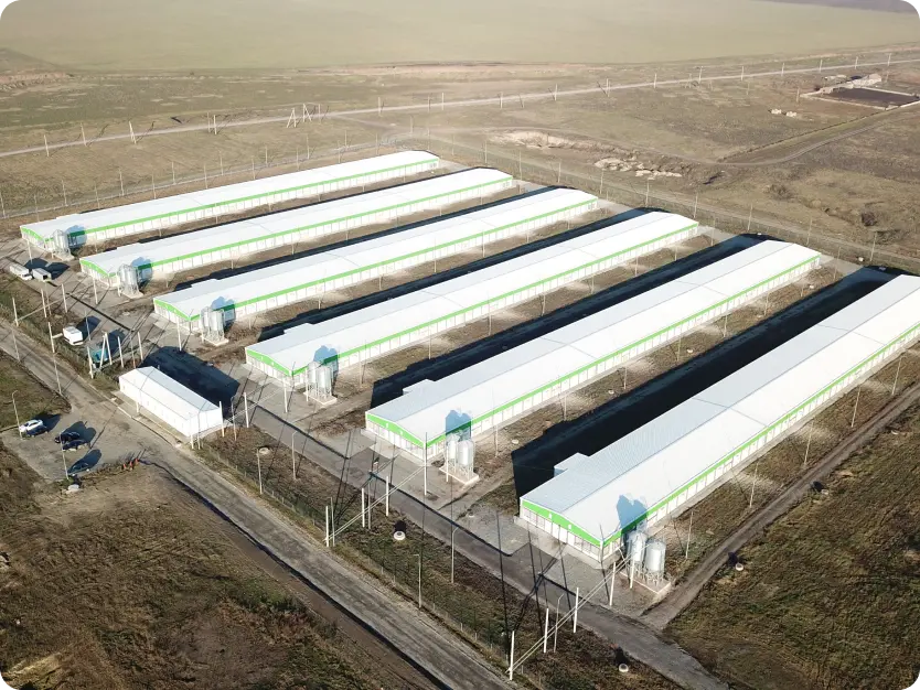 Картинка проекта