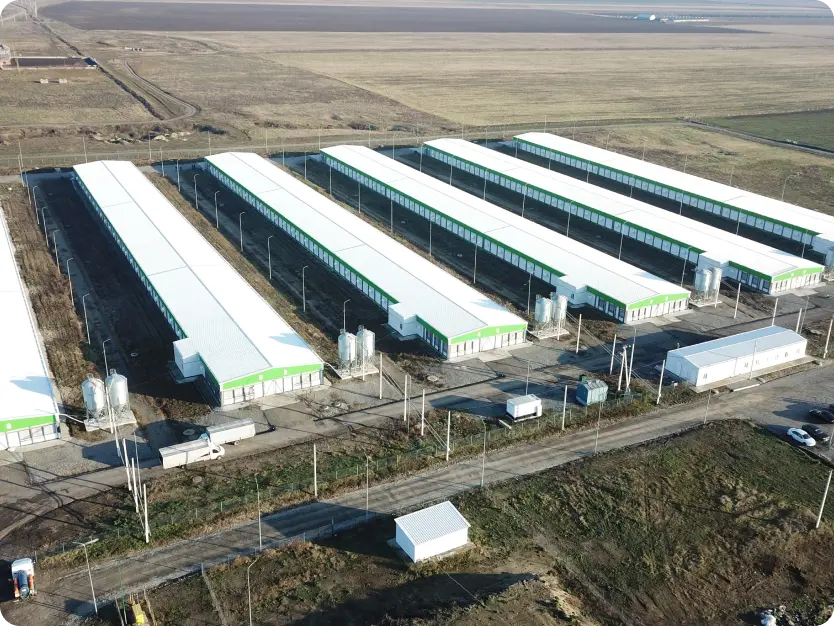 Картинка проекта