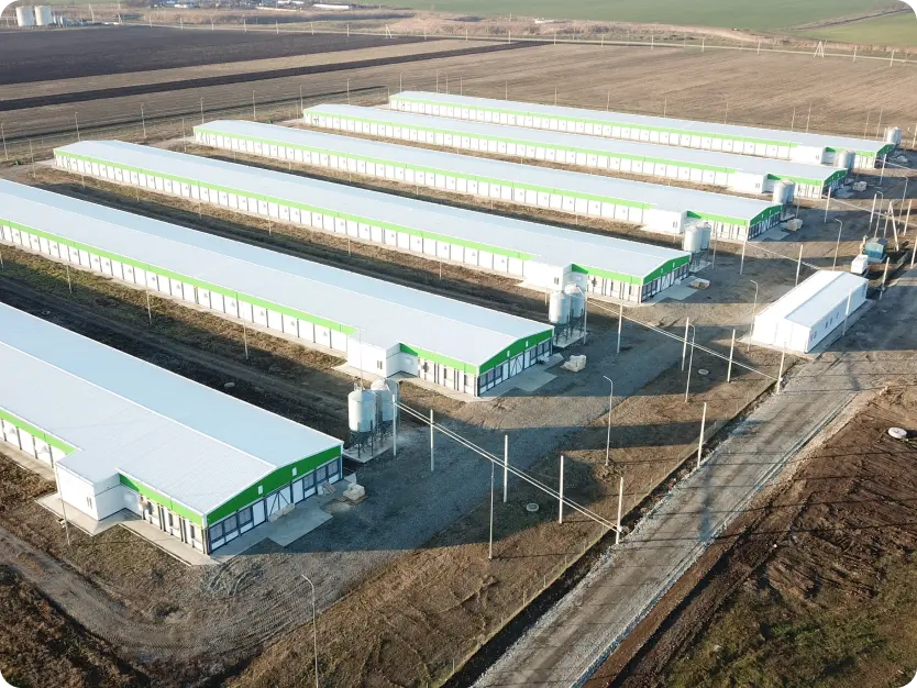 Картинка проекта