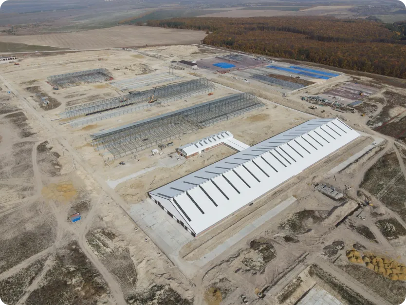 Картинка проекта