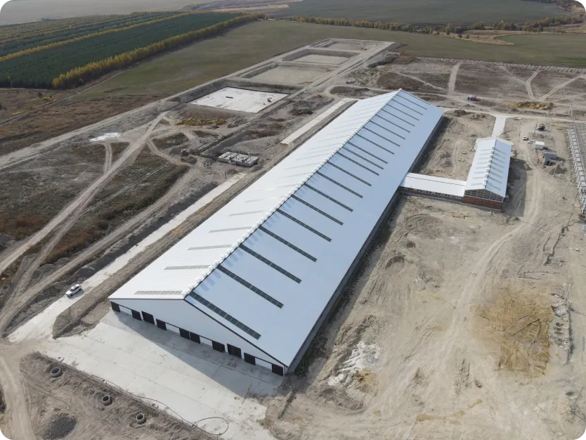 Картинка проекта