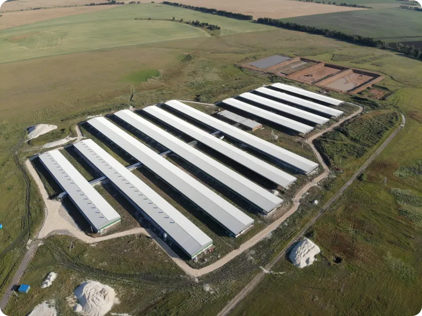 Картинка проекта