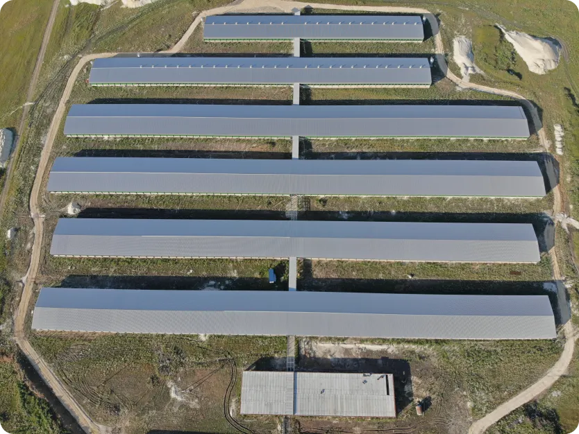 Картинка проекта