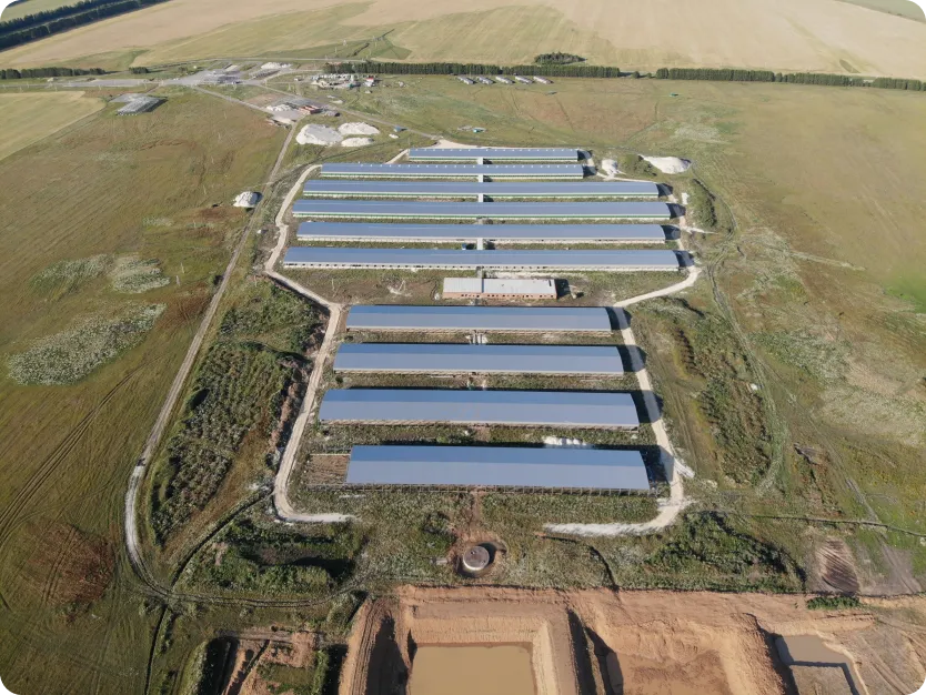 Картинка проекта