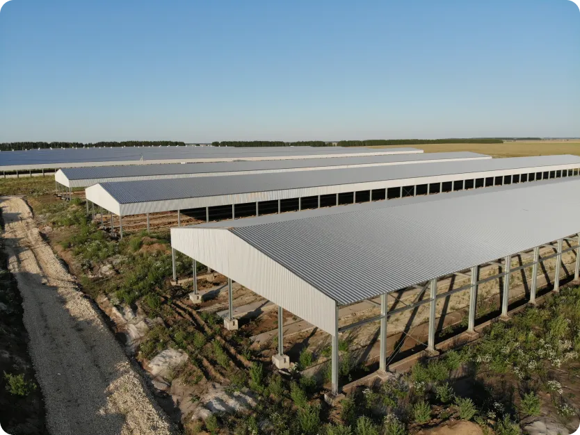 Картинка проекта