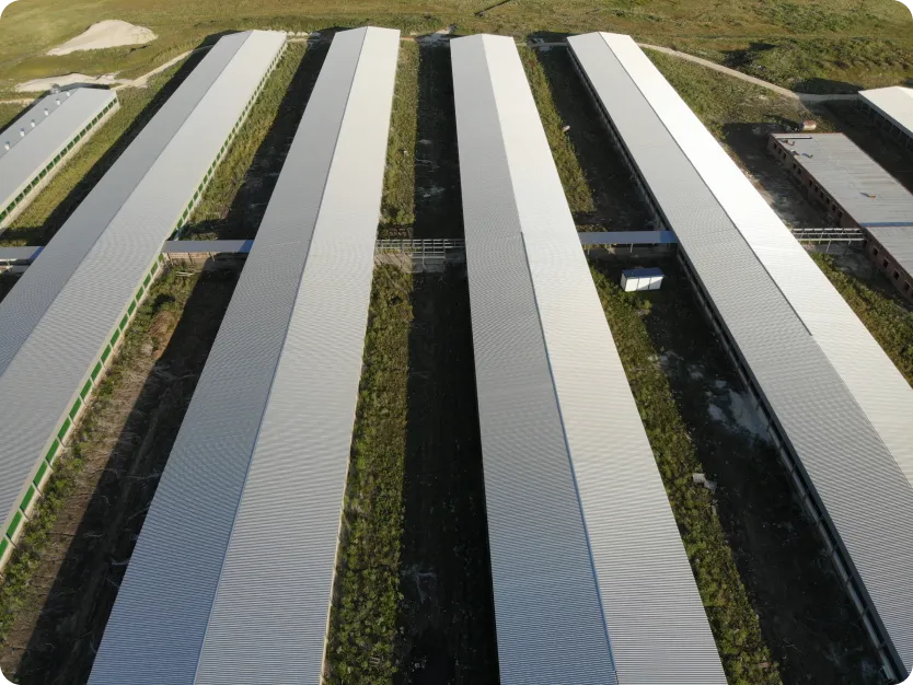 Картинка проекта