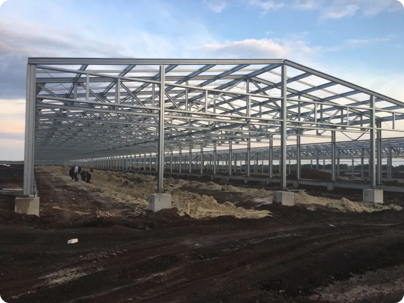 Картинка проекта