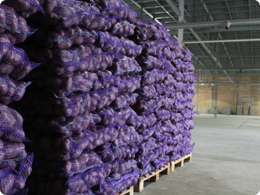 Картинка проекта