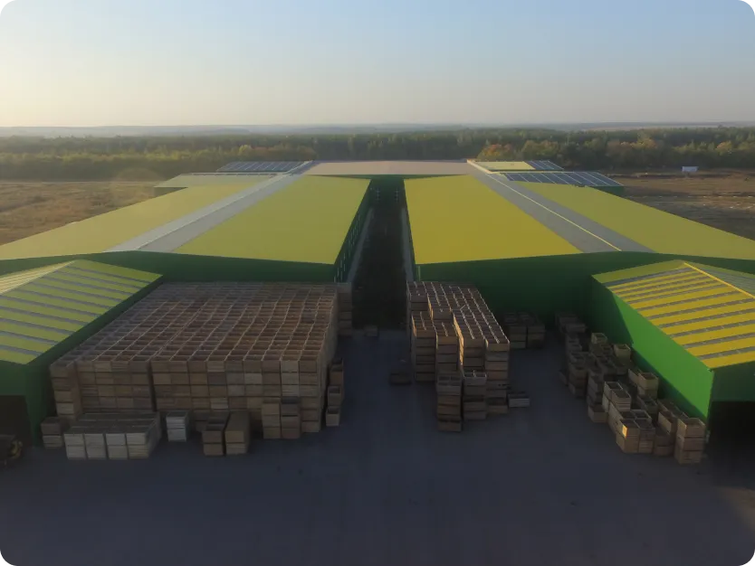 Картинка проекта